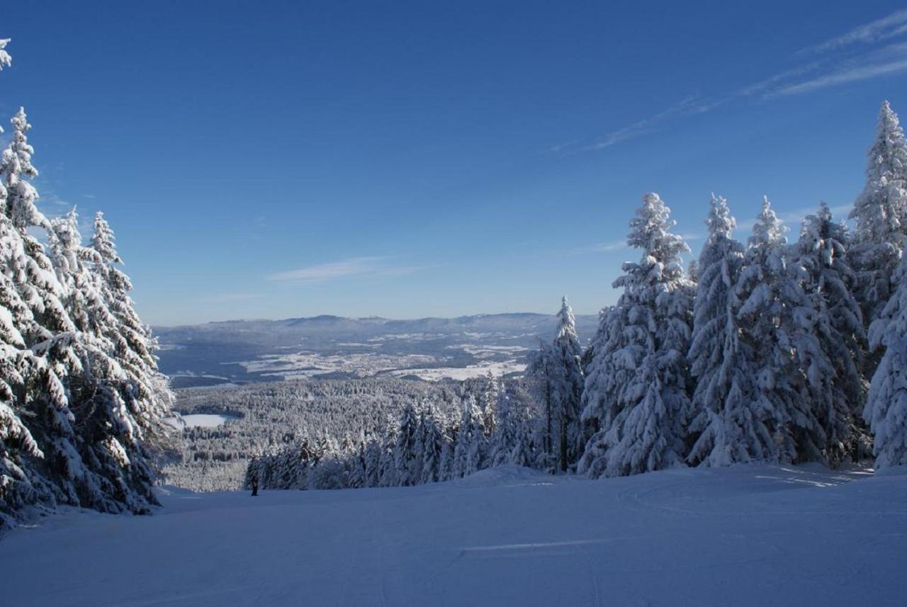 Gasthof Alte Post Bischofsmais Kültér fotó